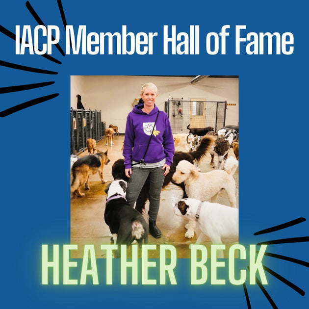 Iacp dog best sale training
