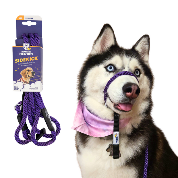 The Sidekick® standard size in purple with packaging and on a dog