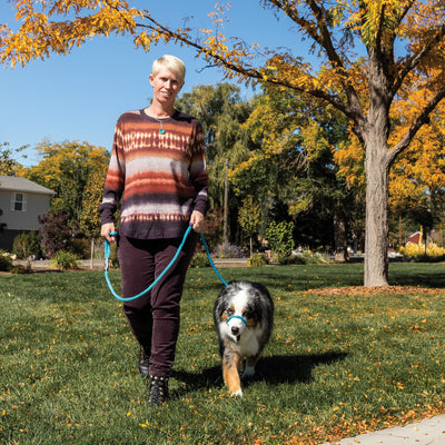 The Sidekick Leash: Four Reasons Why Originality Matters in Dog Training Tools