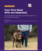 Your First Week With The Sidekick