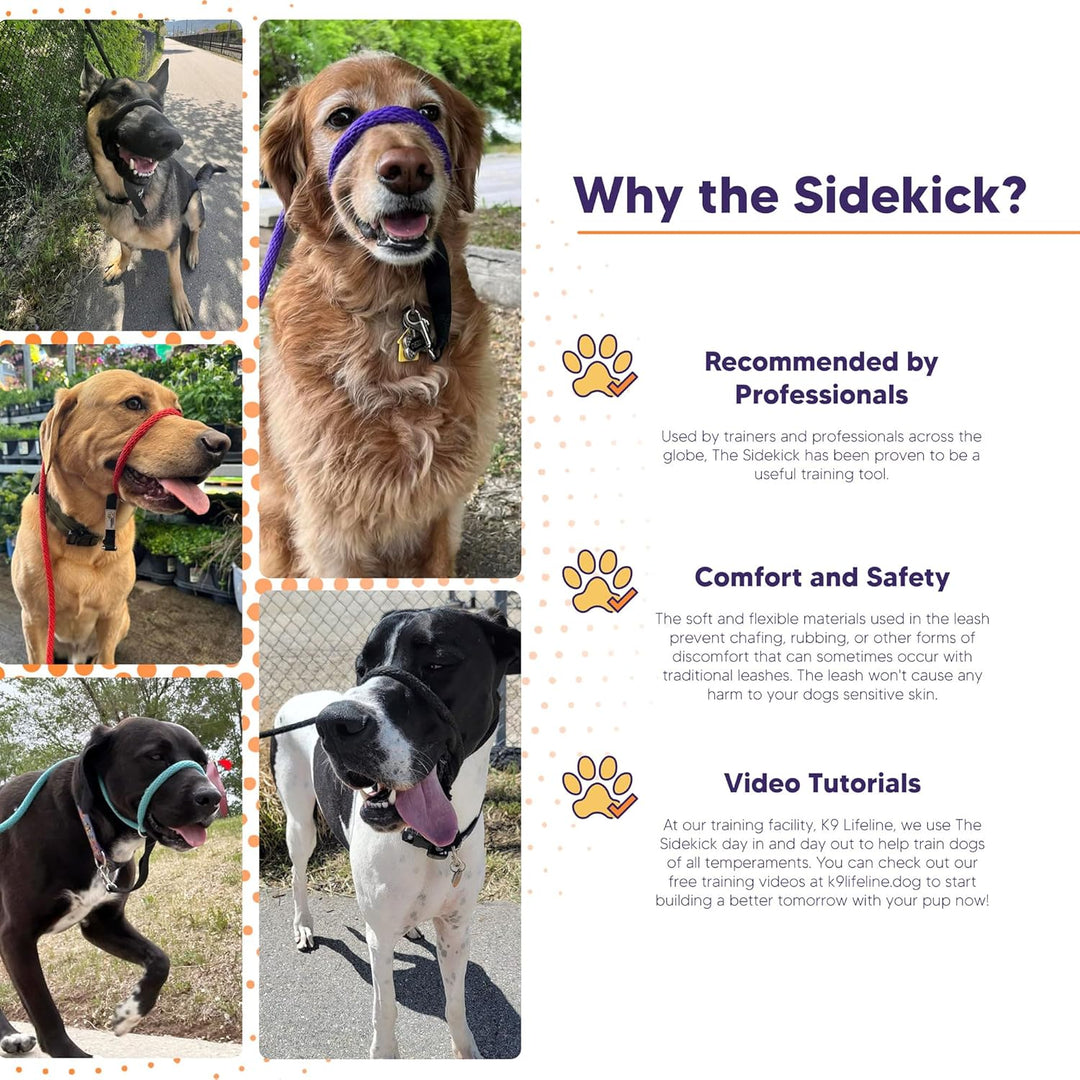 K9 Lifeline Heather Beck Dog Trainer The Sidekick® – Heather's Heroes
