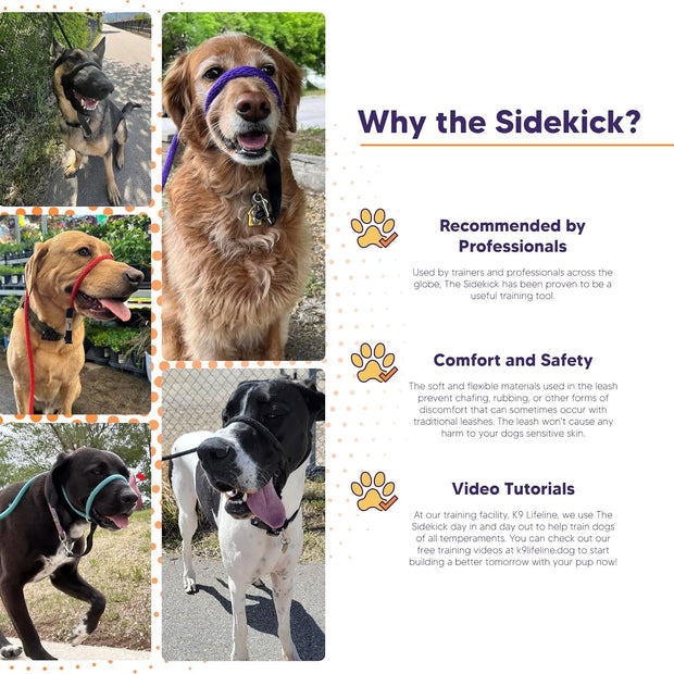 The Sidekick®