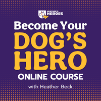 Become Your Dog's Hero Online Course