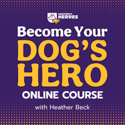 Online Course Bundle 3