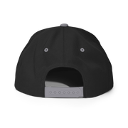 HHCT snapback hat