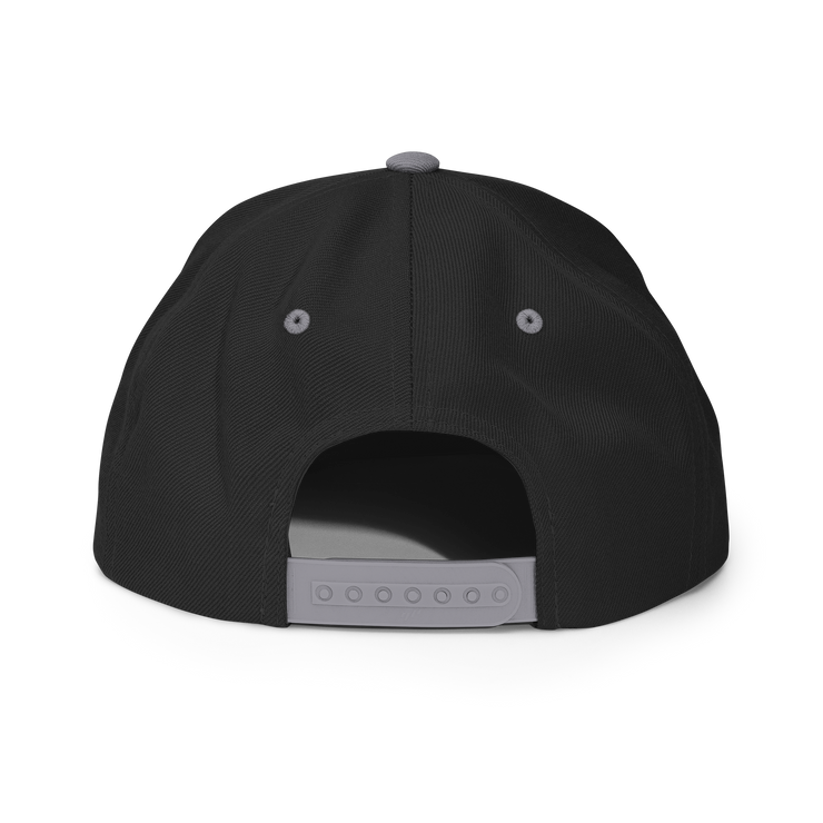 HHCT snapback hat