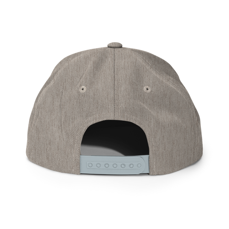 HHCT snapback hat