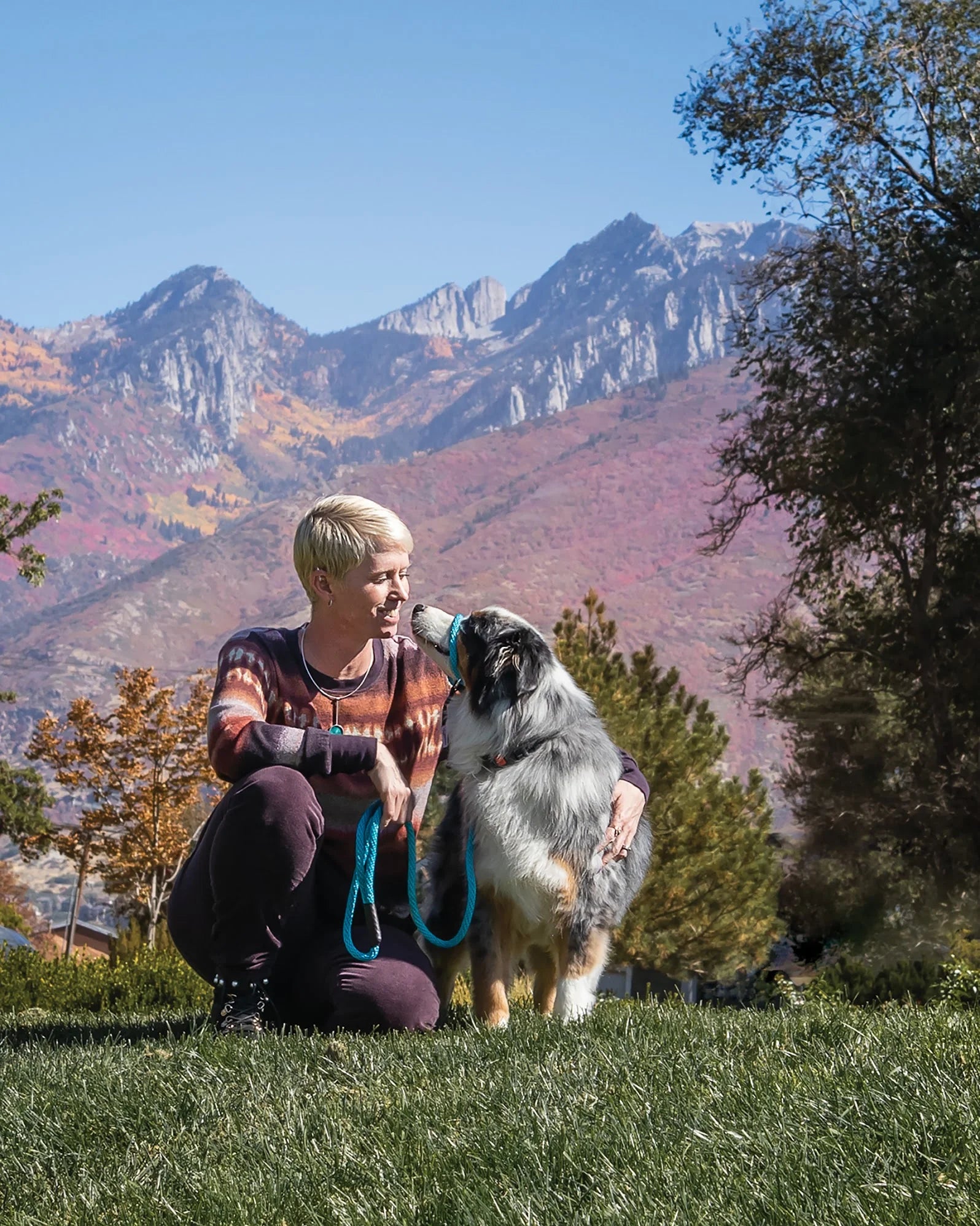 Become Your Dog's Hero Online Course