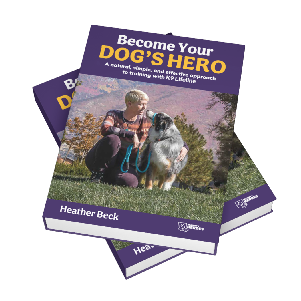 Heather beck dog shop trainer