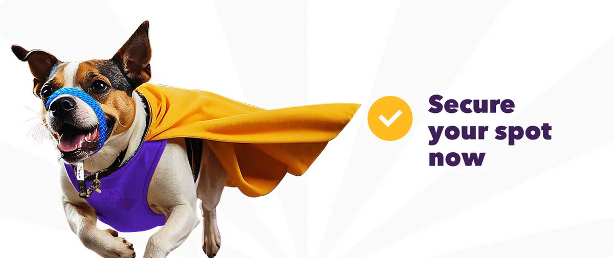 Checkout & Start Training