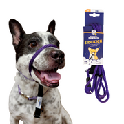 The Sidekick® mini in purple with packaging and on a dog