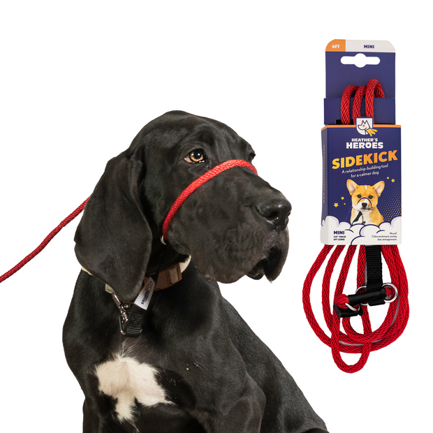 The Sidekick® mini size in red with packaging and on a dog