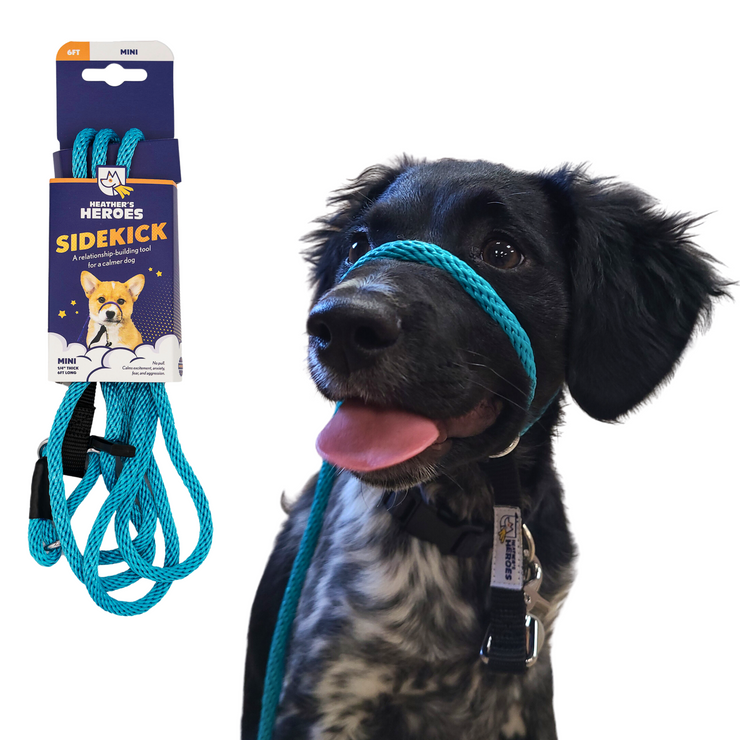 The Sidekick® mini in Turquoise with packaging and on a dog