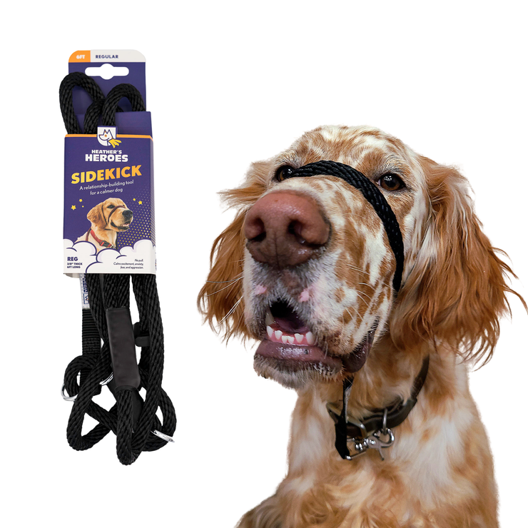 The Sidekick® standard size in black with packaging and on a dog