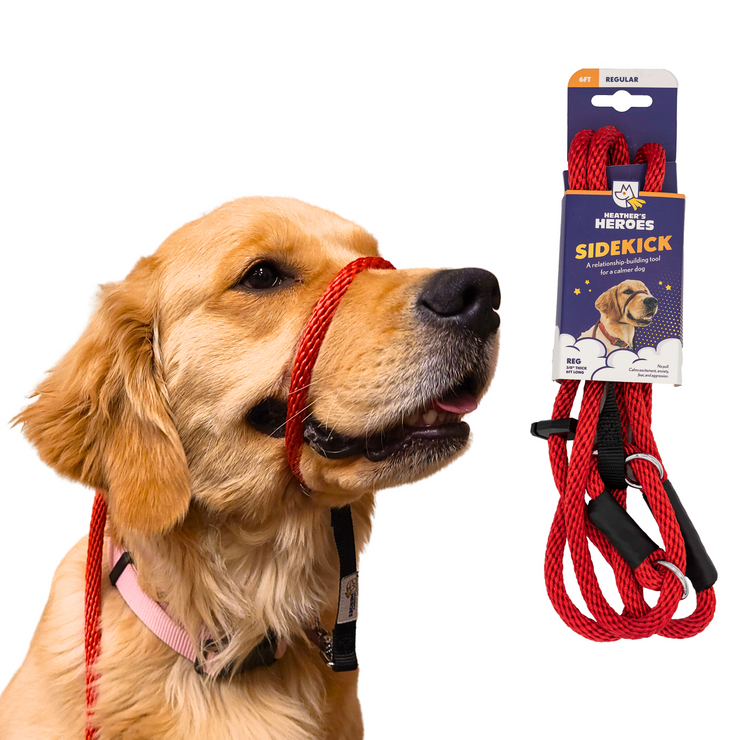 The Sidekick® Standard size in Red with Packaging and on a dog