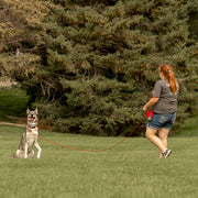 A red haired woman is pictured using a red Heather's Heroes long line while training a large husky mix dog. The dog has a goofy expression on his face with his tongue out.