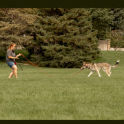 A red haired woman in glasses is shown using a red Heather's Heroes long line while training a large husky mix dog on recall. She is walking backwards away from the dog, who is walking forwards toward her