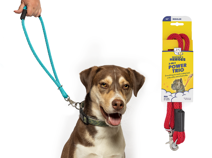 The Sidekick® mini size in turquoise with packaging and on a dog