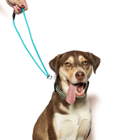 Add a Power Trio: Collar + Safety Lead